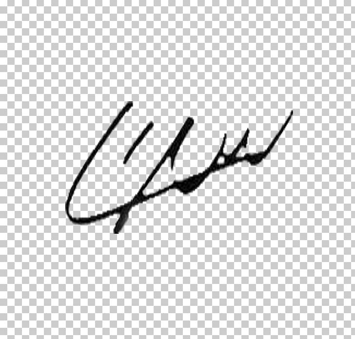One Direction Signature Autograph Song PNG, Clipart, Angle, Autograph, Black, Black And White, Branch Free PNG Download