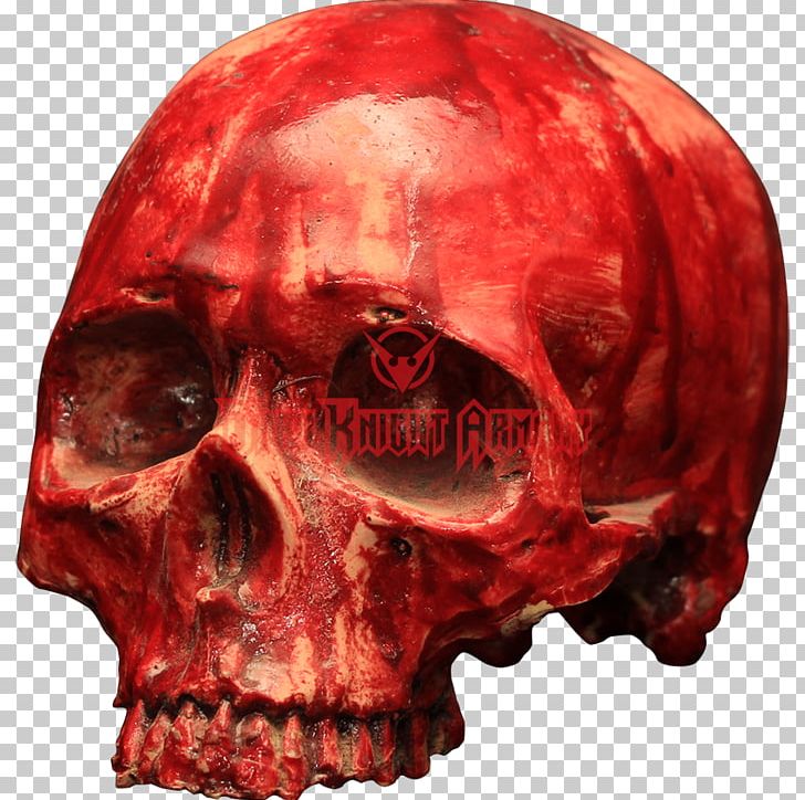 Skull Resin Bone Skeleton Blood PNG, Clipart, Anatomy, Blood, Bloody, Bone, Decoration Free PNG Download
