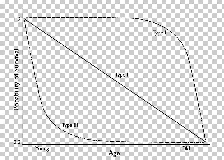 Survivorship Curve Graph Of A Function Chart Populace PNG, Clipart, Angle, Area, Black And White, Chart, Circle Free PNG Download