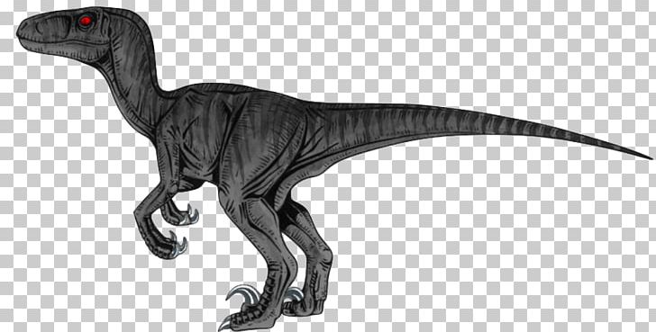Velociraptor Tyrannosaurus Dinosaur Deinonychus Dryptosaurus PNG, Clipart, Animal Figure, Black, Blue, Color, Deinonychus Free PNG Download