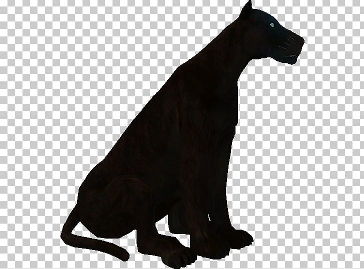 Cat Dog Canidae Terrestrial Animal Puma PNG, Clipart, Animal, Animals, Big Cats, Black Panther, Calypso Free PNG Download