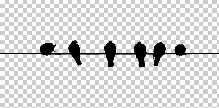 Bird Wire Electrical Cable PNG, Clipart, Angle, Animals, Bird, Black, Black And White Free PNG Download
