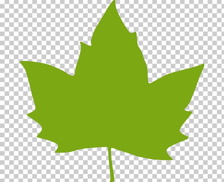 Leaf Green PNG, Clipart, Autumn, Autumn Leaf Color, Blog, Clipart, Clip Art Free PNG Download