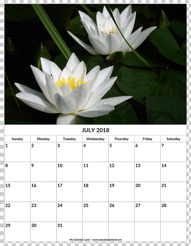 Calendar 0 Template Month PNG, Clipart, 2018, Art, August, Calendar, Document Free PNG Download