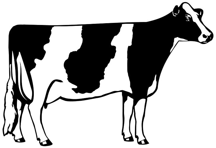 Holstein Friesian Cattle Beef Cattle Dairy Cattle PNG, Clipart, Black And White, Breed, Bulk Tank, Cattle, Cattle Like Mammal Free PNG Download