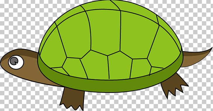 Turtle Reptile Tortoise PNG, Clipart, Ball, Desert Tortoise, Fauna, Free Content, Gopher Tortoise Free PNG Download