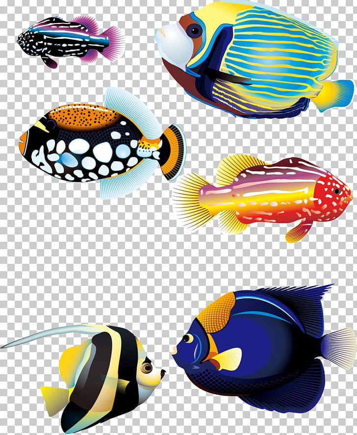 Carassius Auratus Tropical Fish Animal PNG, Clipart, Animals, Aquarium, Blue Glaucus, Color, Colorful Free PNG Download