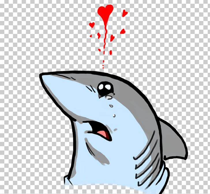 how to draw a cute great white shark