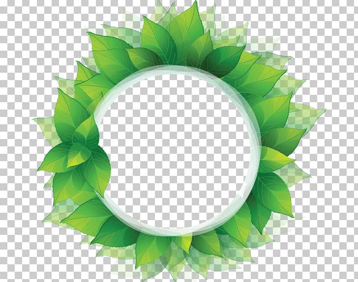 Leaf PNG, Clipart, Circle, Depositphotos, Drawing, Green, Leaf Free PNG Download
