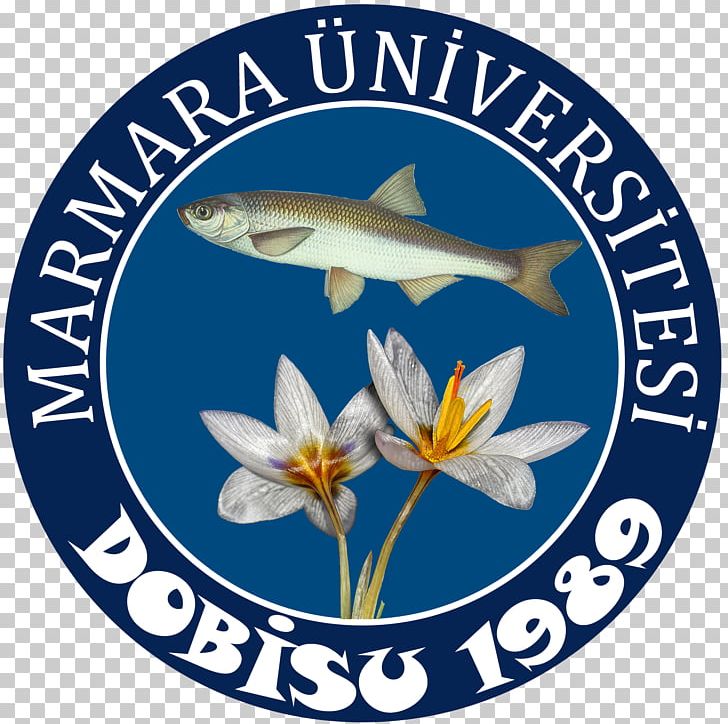 Marmara University Research Fish Nature PNG, Clipart, Fish, Flower, Marmara Region, Marmara University, Nature Free PNG Download