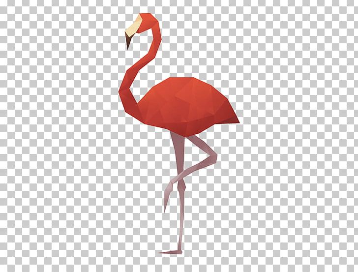 Bird Owl Greater Flamingo PNG, Clipart, Animal, Art, Beak, Bird, Flamingo Free PNG Download