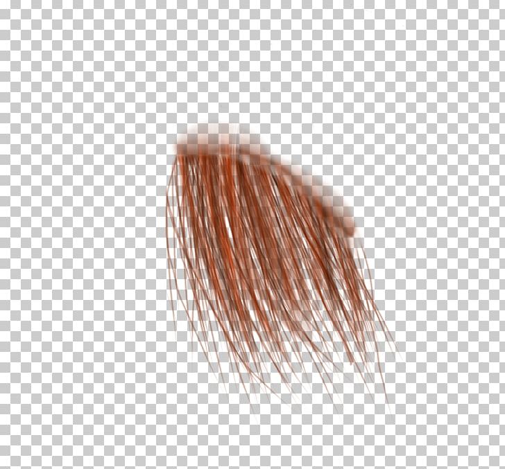 Brush Eyebrow Close-up PNG, Clipart, Brush, Closeup, Closeup, Copper, Eyebrow Free PNG Download