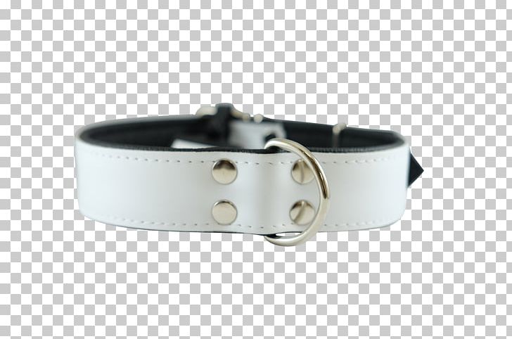 Dog Collar Belt Buckles PNG, Clipart, Animals, Belt, Belt Buckle, Belt Buckles, Buckle Free PNG Download