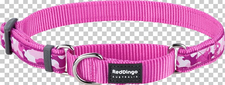 Dog Collar Dingo Martingale PNG, Clipart, Buckle, Clothing Accessories, Collar, Dingo, Dog Free PNG Download