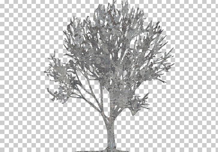 Twig Computer Icons Tree Vape Country PNG, Clipart, Arboriculture, Black And White, Branch, Computer Icons, House Free PNG Download