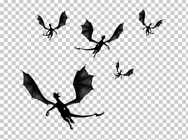 Dragon PNG, Clipart, Art Image File Format, Beak, Bird, Black And White, Branch Free PNG Download