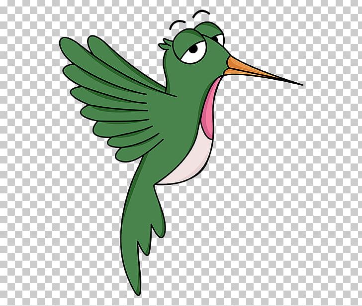 Hummingbird M Beak Feather PNG, Clipart, Animals, Basketball, Beak, Bird, Brand Free PNG Download