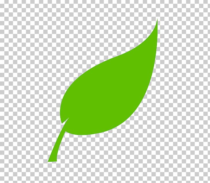 Leaf PNG, Clipart, Acuarela Hojas, Clip Art, Download, Grass, Green Free PNG Download