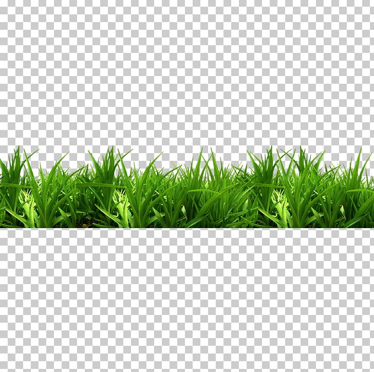 Bench Park PNG, Clipart, Adobe Illustrator, Artificial Grass, Bench, Cartoon Grass, Clip Art Free PNG Download
