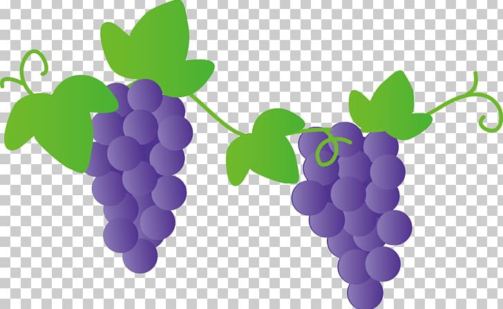 Niagara Grape Kyoho Delaware Muscat PNG, Clipart, Asian Pear, Brix, Budo, Common Grape Vine, Delaware Free PNG Download