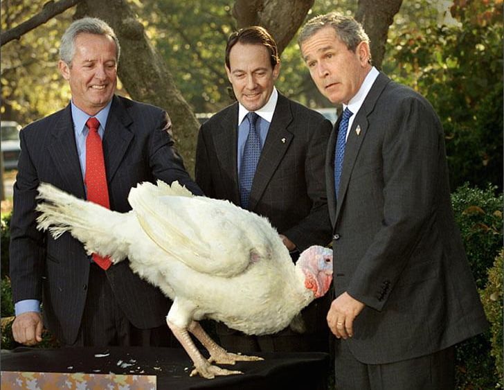 White House National Thanksgiving Turkey Presentation President Of The United States Pardon PNG, Clipart, Bill Clinton, Bird, Celebrities, Galliformes, George Bush Free PNG Download
