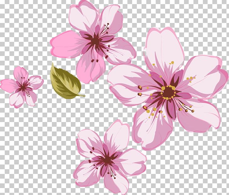 Pink 3D Computer Graphics PNG, Clipart, 3d Computer Graphics, Blossom, Cherry Blossom, Computer Graphics, Computer Network Free PNG Download