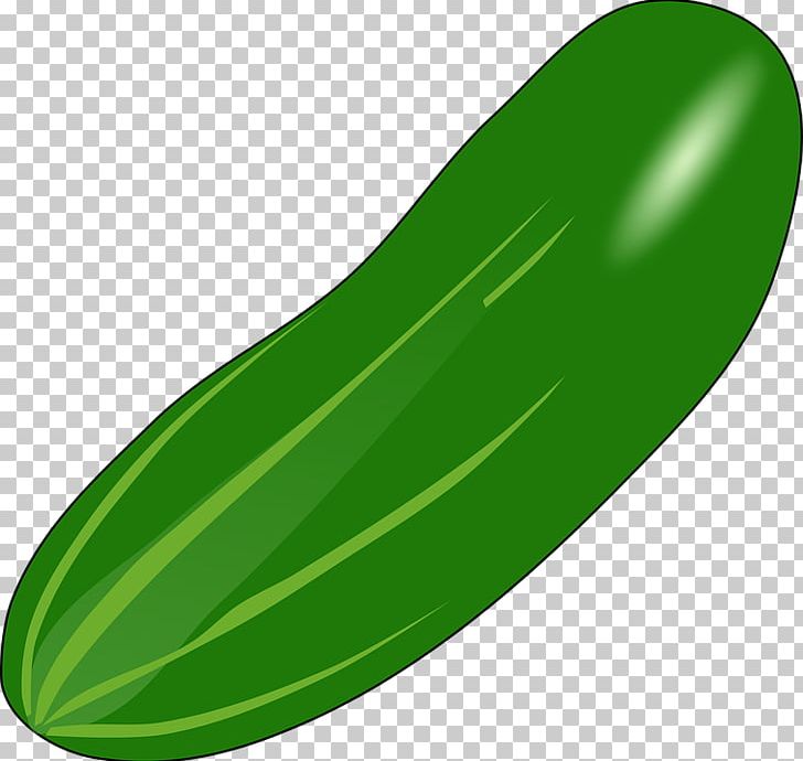 Vegetable Pickled Cucumber PNG, Clipart, Cucumber, Cucumber Clipart, Cucumber Gourd And Melon Family, Cucumis, Download Free PNG Download