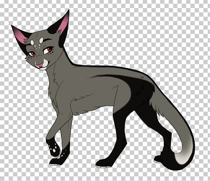 Whiskers Red Fox Cat Dog Canidae PNG, Clipart, Animals, Black, Black And White, Black M, Canidae Free PNG Download