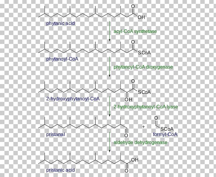 Alpha Oxidation Beta Oxidation Fatty Acid Redox PNG, Clipart, Acid, Angle, Area, Atom, Beta Oxidation Free PNG Download