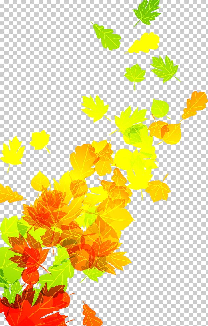 Autumn Leaf Color PNG, Clipart, Akiba, Autumn, Autumn Leaves, Banana Leaves, Branch Free PNG Download