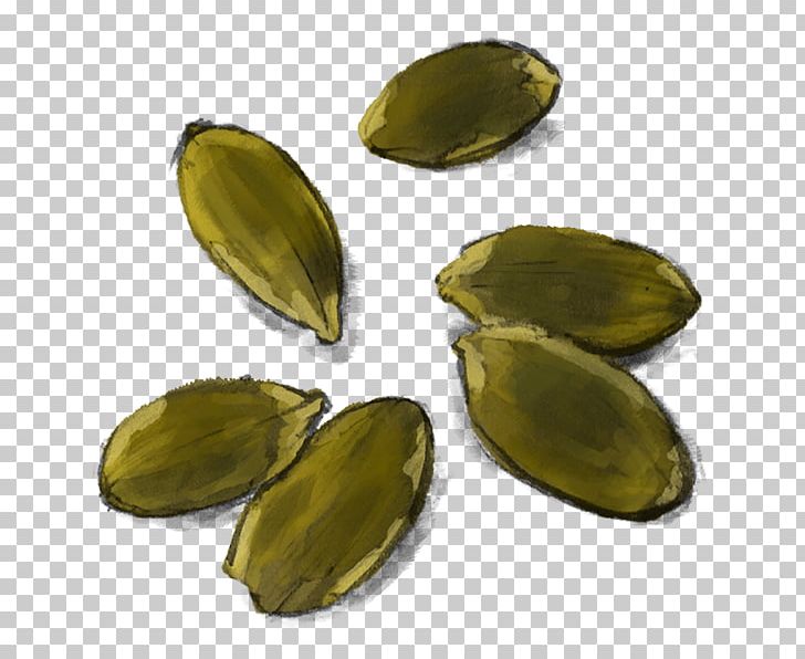 Pistachio Vegetarian Cuisine Pumpkin Seed PNG, Clipart, Business, Commodity, Food, Ingredient, Logistics Free PNG Download