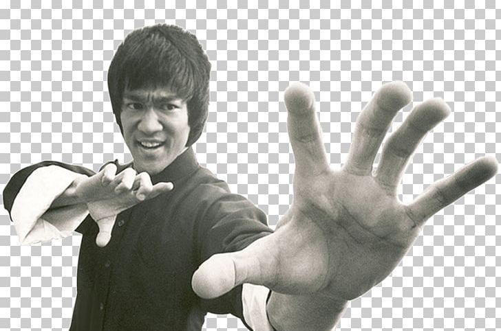 Bruce Lee PNG, Clipart,  Free PNG Download