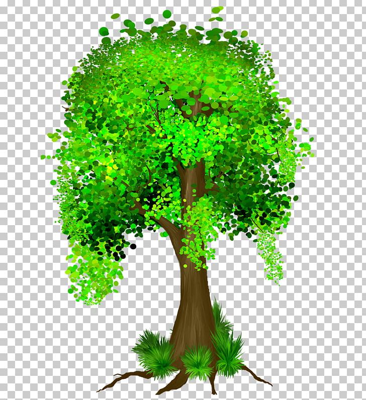 Guiana Chestnut Tree Money Branch Bank PNG, Clipart, Arecaceae, Bank, Branch, Coin, Fairy Tree Free PNG Download