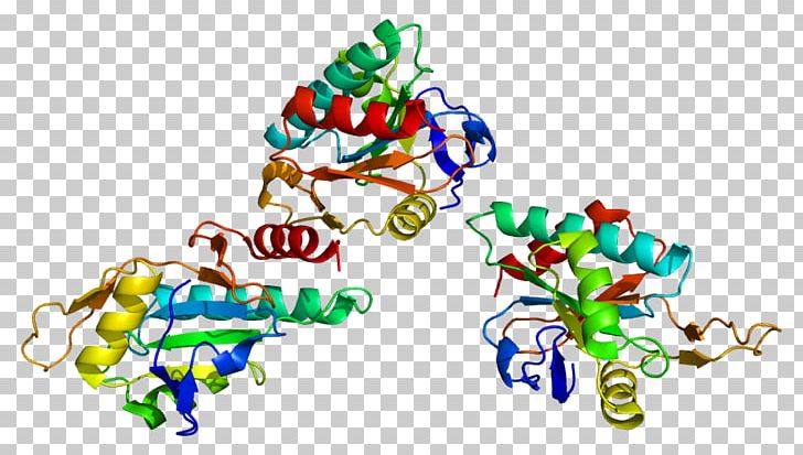 SCO1 Cytochrome C Oxidase Subunit II COX20 SCO2 PNG, Clipart, Area, Art, Cytochrome, Cytochrome C, Cytochrome C Oxidase Free PNG Download
