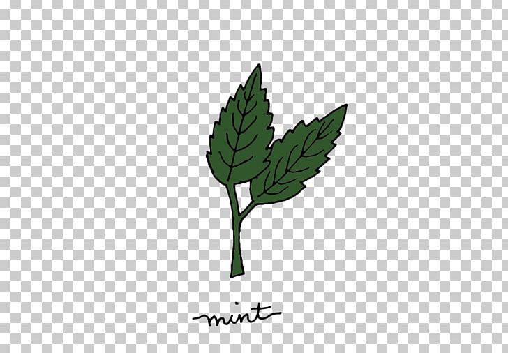 Mint Medicinal Plants Herb PNG, Clipart, Branch, Computer Wallpaper, Grass, Green, Hand Free PNG Download