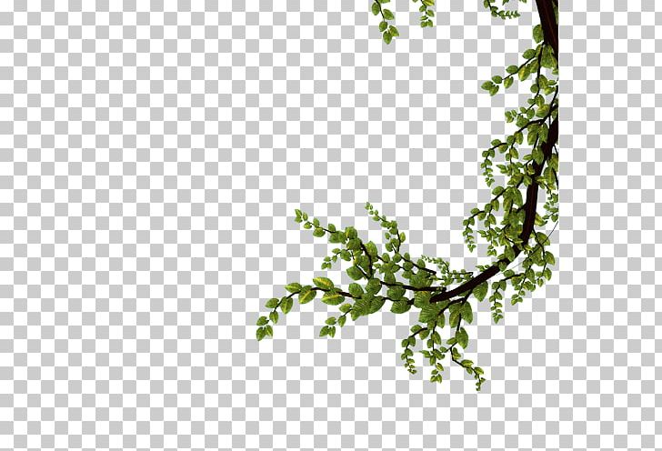 Twig Branch Tree Leaf PNG, Clipart, Bonsai, Branch, Element, Facebook, Flower Free PNG Download