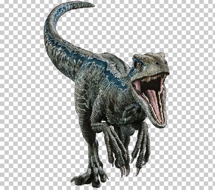 Velociraptor Tyrannosaurus Deinonychus Dinosaur Stegosaurus PNG, Clipart, Animal Figure, Blue, Deinonychus, Dinosaur, Drawing Free PNG Download