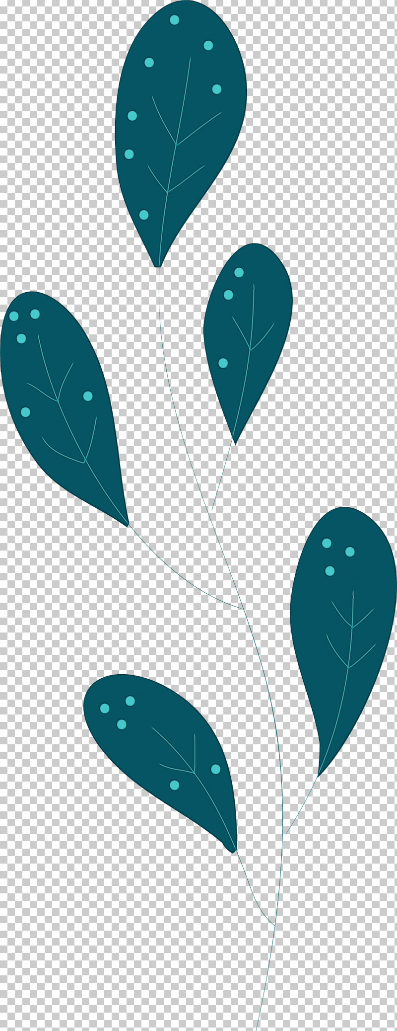 Leaf Turquoise Biology Plant Structure Plants PNG, Clipart, Biology, Leaf, Paint, Plants, Plant Structure Free PNG Download