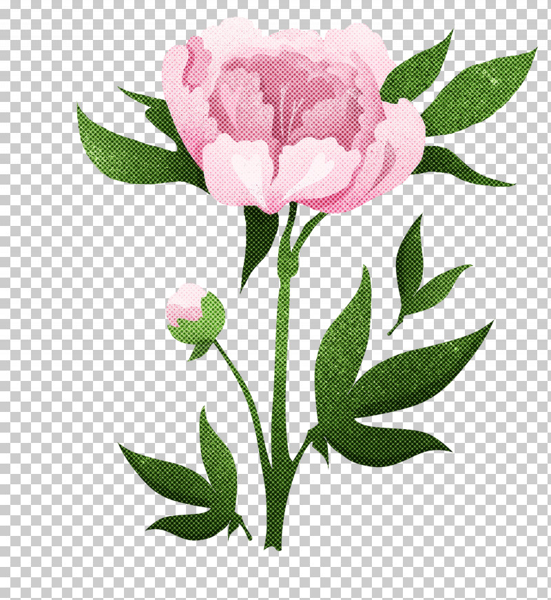 Floral Design PNG, Clipart, Cabbage Rose, Cut Flowers, Floral Design, Flower, Garden Roses Free PNG Download