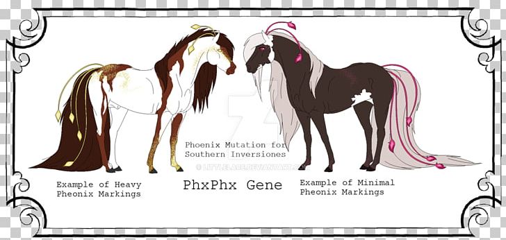 Chromosomal Inversion Point Mutation Genetics Genetic Testing PNG, Clipart, Biology, Chromosomal Inversion, Chromosomal Translocation, Colt, Fictional Character Free PNG Download