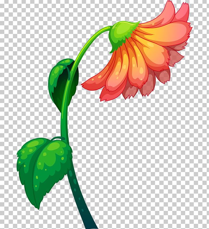 Leaf Photography Pretty PNG, Clipart, Art, Chrysanthemum, Depositphotos, Drawing, Flora Free PNG Download
