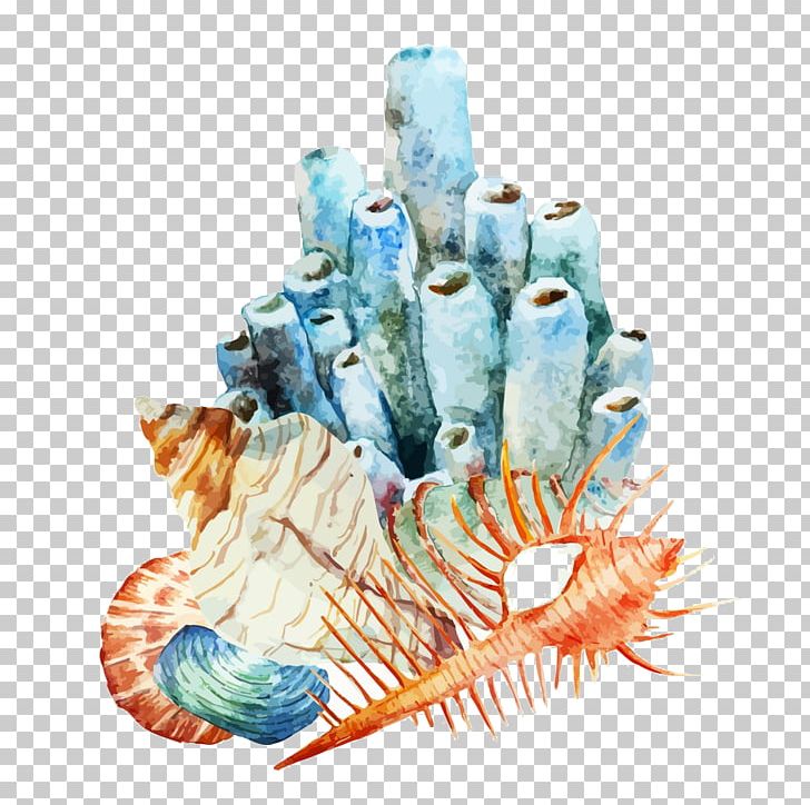 Coral Reef Watercolor Painting Illustration PNG, Clipart, Adobe Illustrator, Blue, Canvas, Cartoon, Color Free PNG Download