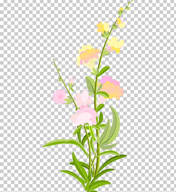 Floral Design Cut Flowers Petal Plant Stem PNG, Clipart, Artwork, Branch, Branching, Cut Flowers, Flora Free PNG Download