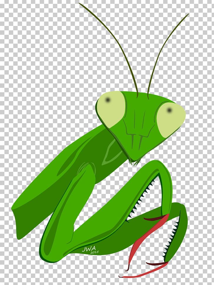 Mantis Insect Cartoon Animal PNG, Clipart, Amphibian, Animal, Animals, Cartoon, Cricket Like Insect Free PNG Download