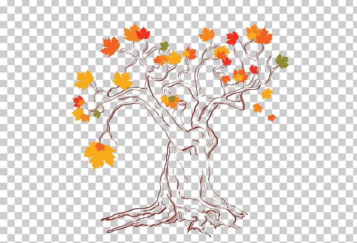Maple Leaf Drawing PNG, Clipart, Area, Art, Artwork, Branch, Cut Flowers Free PNG Download