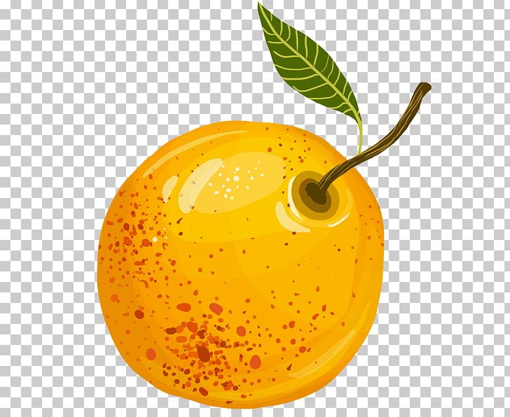 Mirabelle Plum Cocktail Drawing Fruit Cointreau PNG, Clipart, Cocktail, Cointreau, Drawing, Food, Food Drinks Free PNG Download