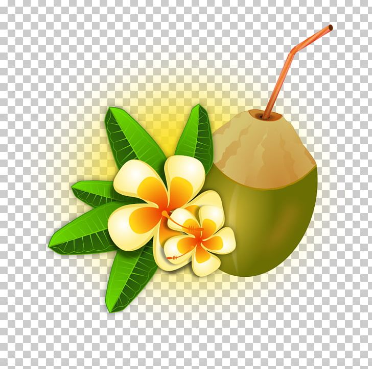 Pixf1a Colada Tropics Coconut Water Free Content PNG, Clipart, Arecaceae, Coconut Water, Drink, Flower, Free Content Free PNG Download