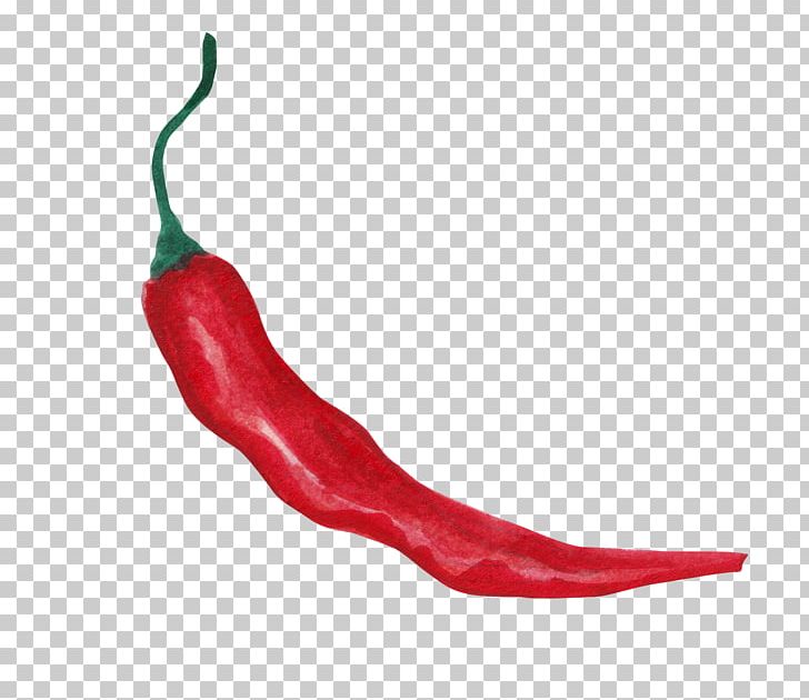 Tabasco Pepper Serrano Pepper Cayenne Pepper Bell Pepper Chili Pepper PNG, Clipart, Bell Peppers And Chili Peppers, Capsicum Annuum, Chili, Crushed Red Pepper, Decoration Free PNG Download