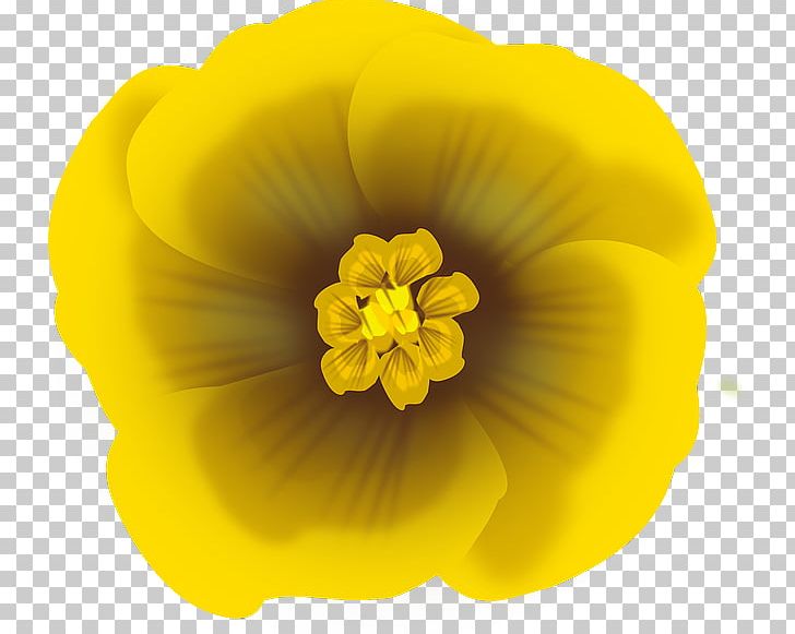 Yellow Flower Petal PNG, Clipart, Blue, Clip Art, Desktop Wallpaper, Drawing, Floral Design Free PNG Download