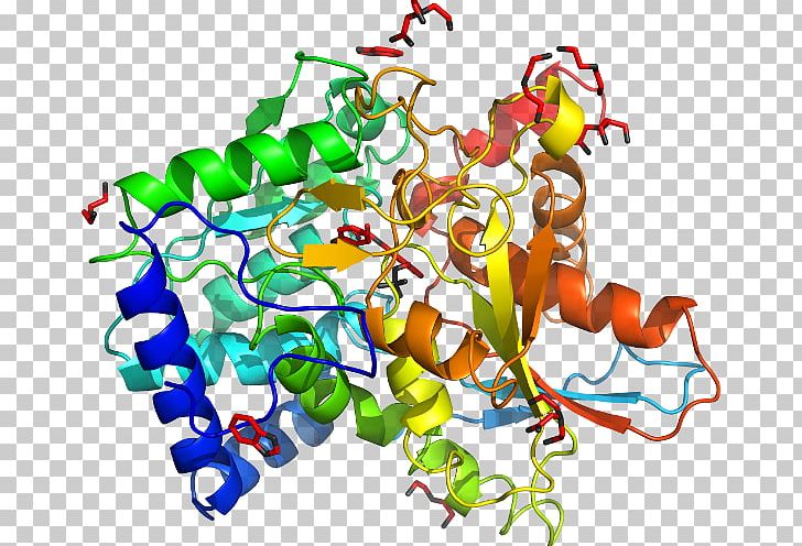 MAP3K7 Gene Mitogen-activated Protein Kinase Protein Data Bank PNG, Clipart, Animal Figure, Area, Artwork, Cystathionine Beta Synthase, Enzyme Free PNG Download